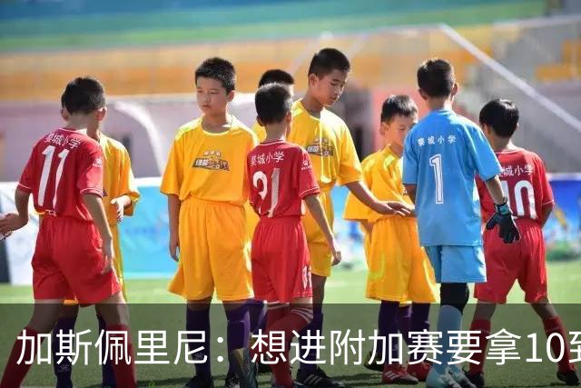 加斯佩里尼：想进附加赛要拿10到11分，我们需要赢得主场比赛